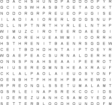 word search puzzle