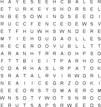 word search puzzle