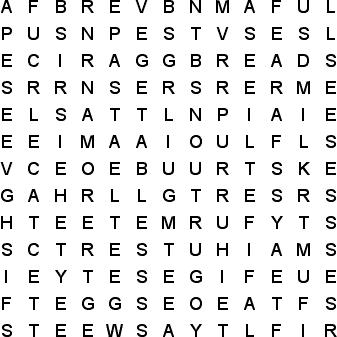 word search puzzle