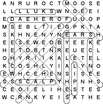 word search puzzle solution