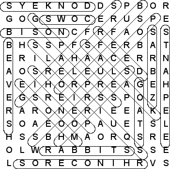 word search puzzle solution
