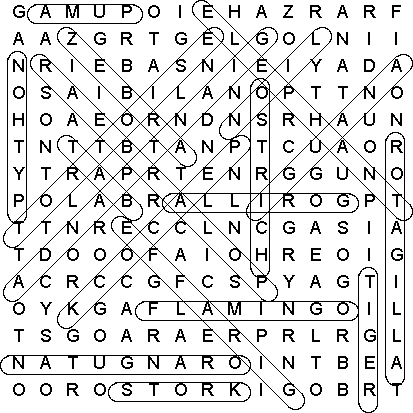 word search puzzle solution