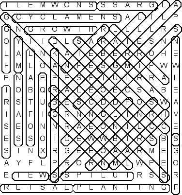 word search puzzle solution