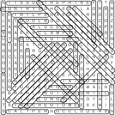 word search puzzle solution