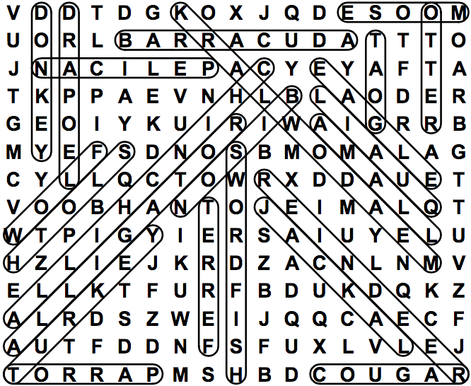 word search puzzle solution