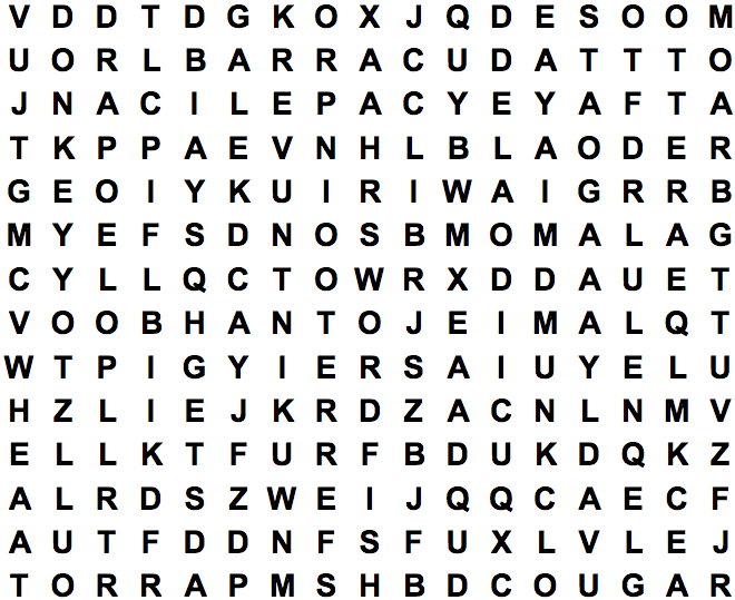 animals 1 large print word search puzzle