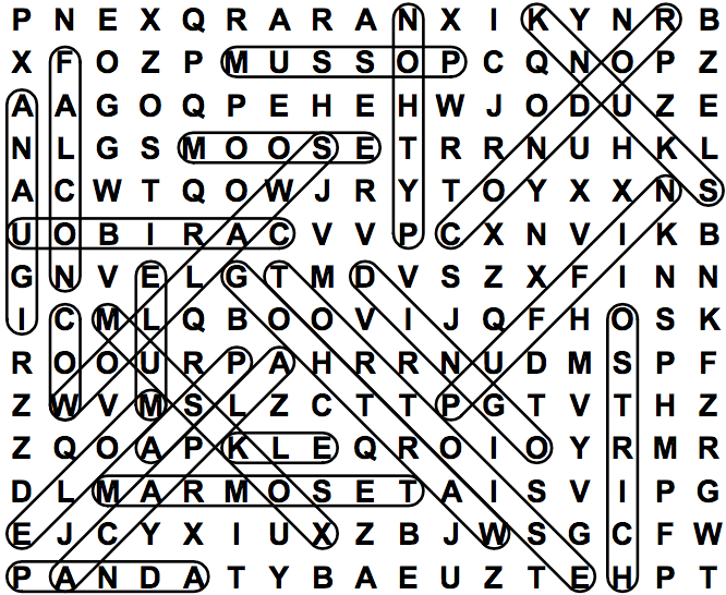 word search puzzle solution