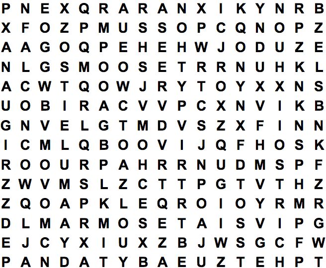 word search puzzle