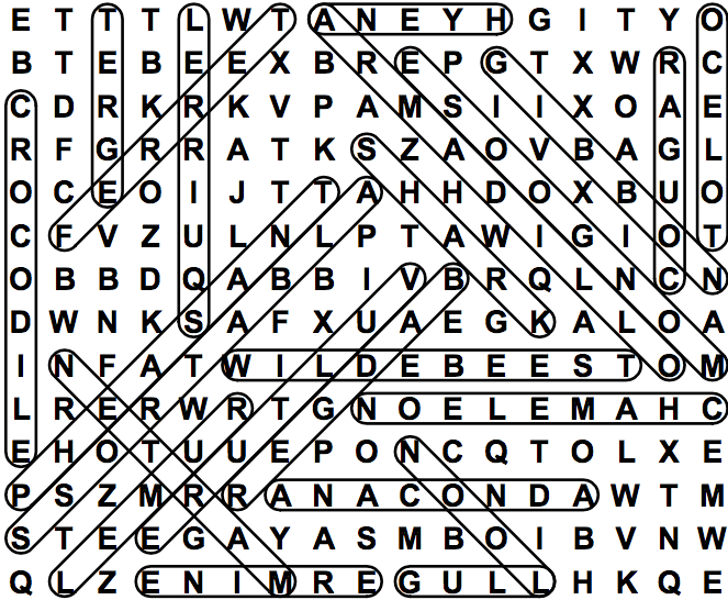 word search puzzle solution