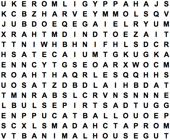 word search puzzle