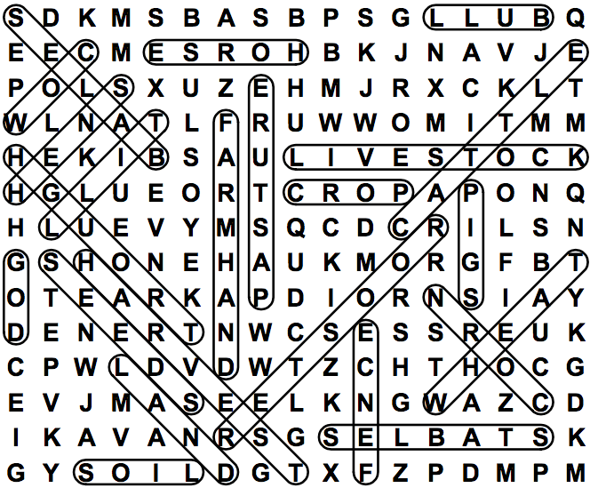 word search puzzle solution