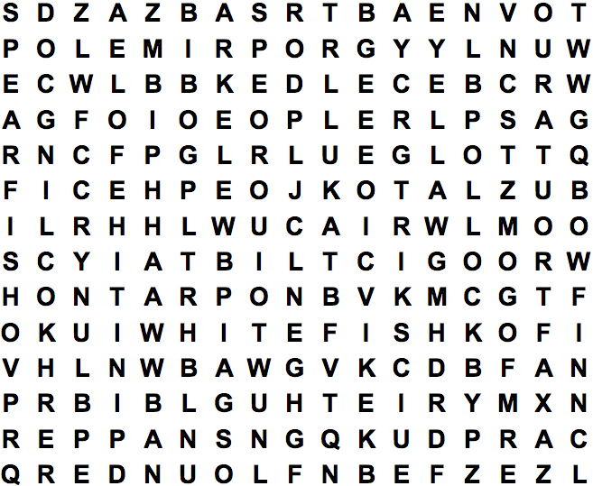 word search puzzle