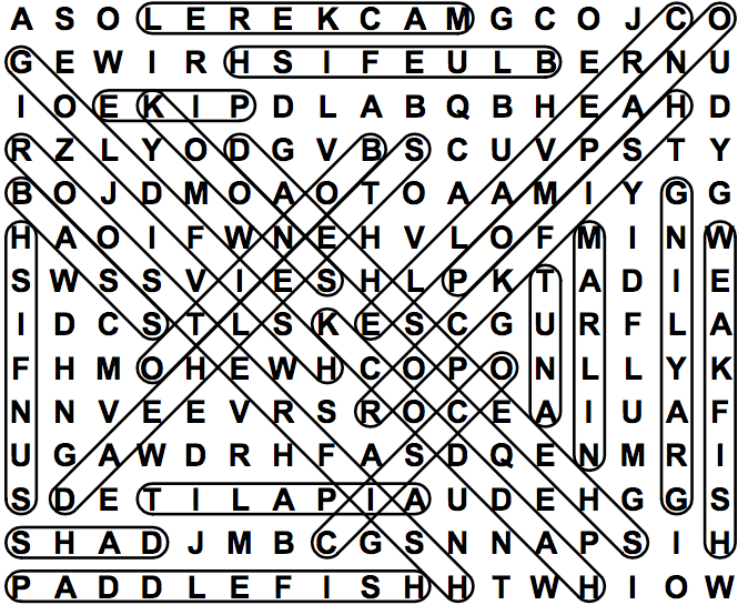 word search puzzle solution