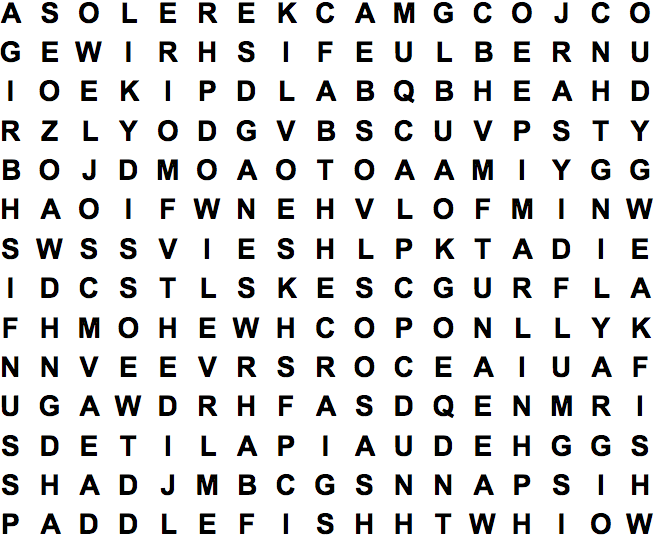 word search puzzle