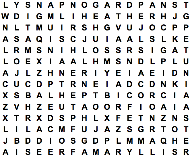 word search puzzle