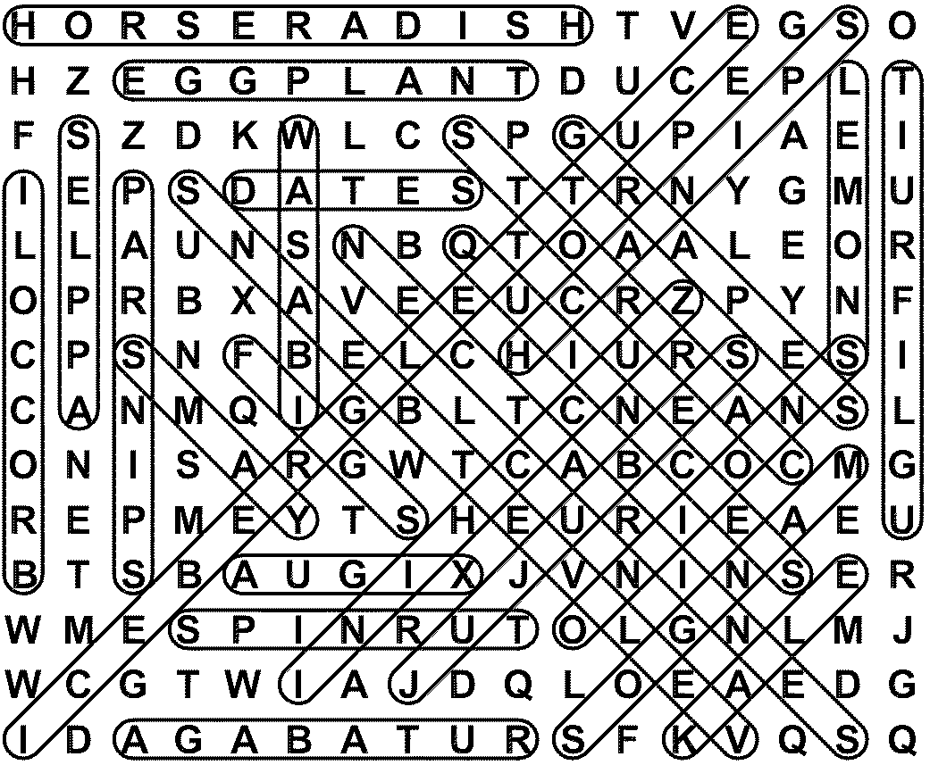 word search puzzle solution