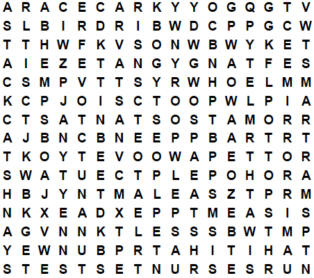 word search puzzle