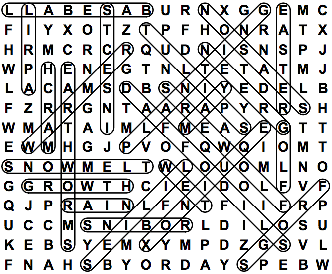 word search puzzle solution