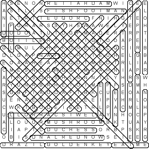 word search puzzle solution