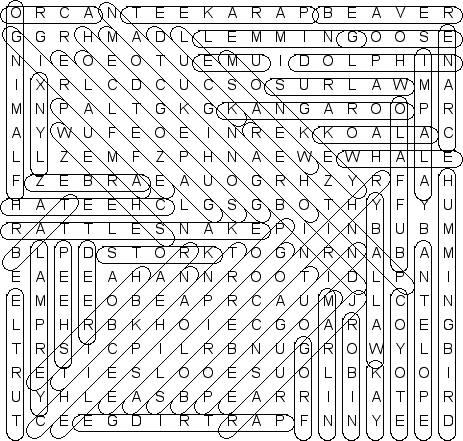 word search puzzle solution