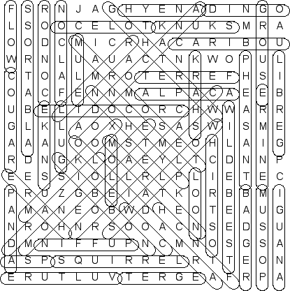 word search puzzle solution