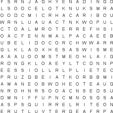 word search puzzle