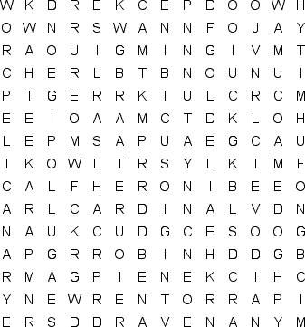 word search puzzle