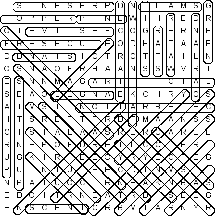 word search puzzle solution