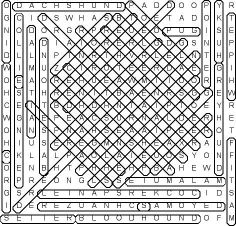 word search puzzle solution