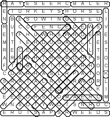 word search puzzle solution