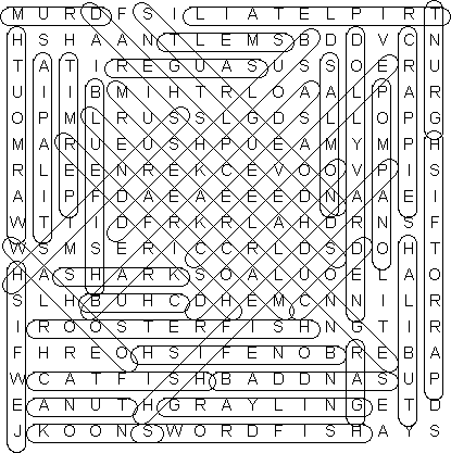 word search puzzle solution