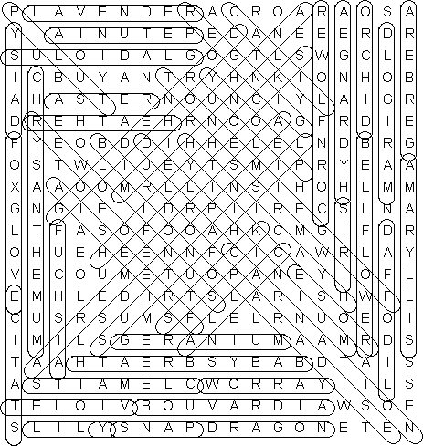 word search puzzle solution