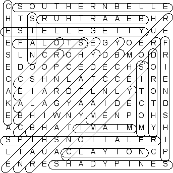 word search puzzle solution