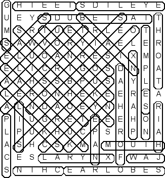 word search puzzle solution