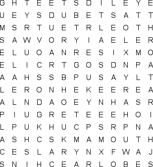 word search puzzle