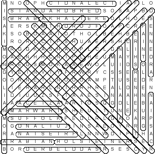 word search puzzle solution