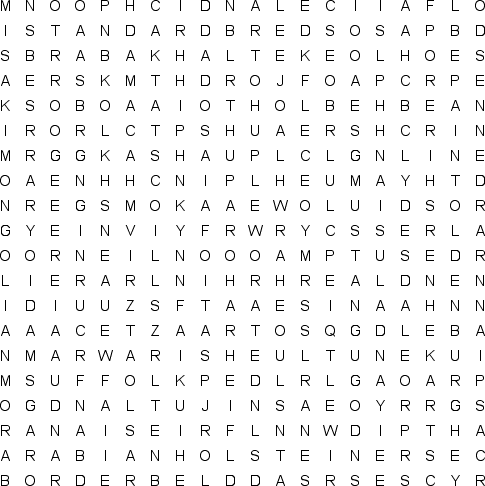 word search puzzle