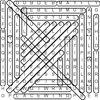 word search puzzle solution