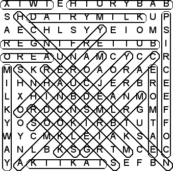 word search puzzle solution