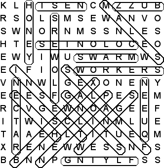 word search puzzle solution