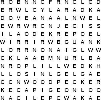 word search puzzle