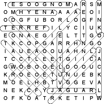 word search puzzle solution