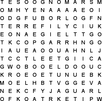 word search puzzle