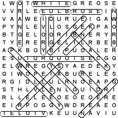 word search puzzle solution