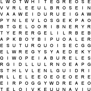 word search puzzle