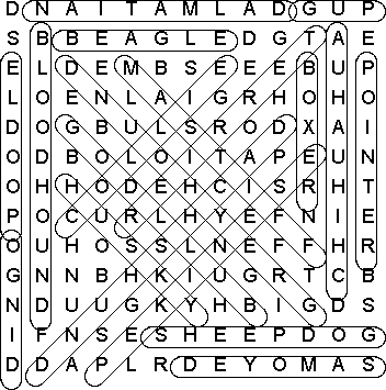 word search puzzle solution