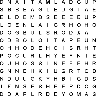 word search puzzle