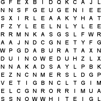 word search puzzle