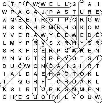 word search puzzle solution