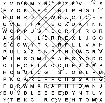 word search puzzle solution